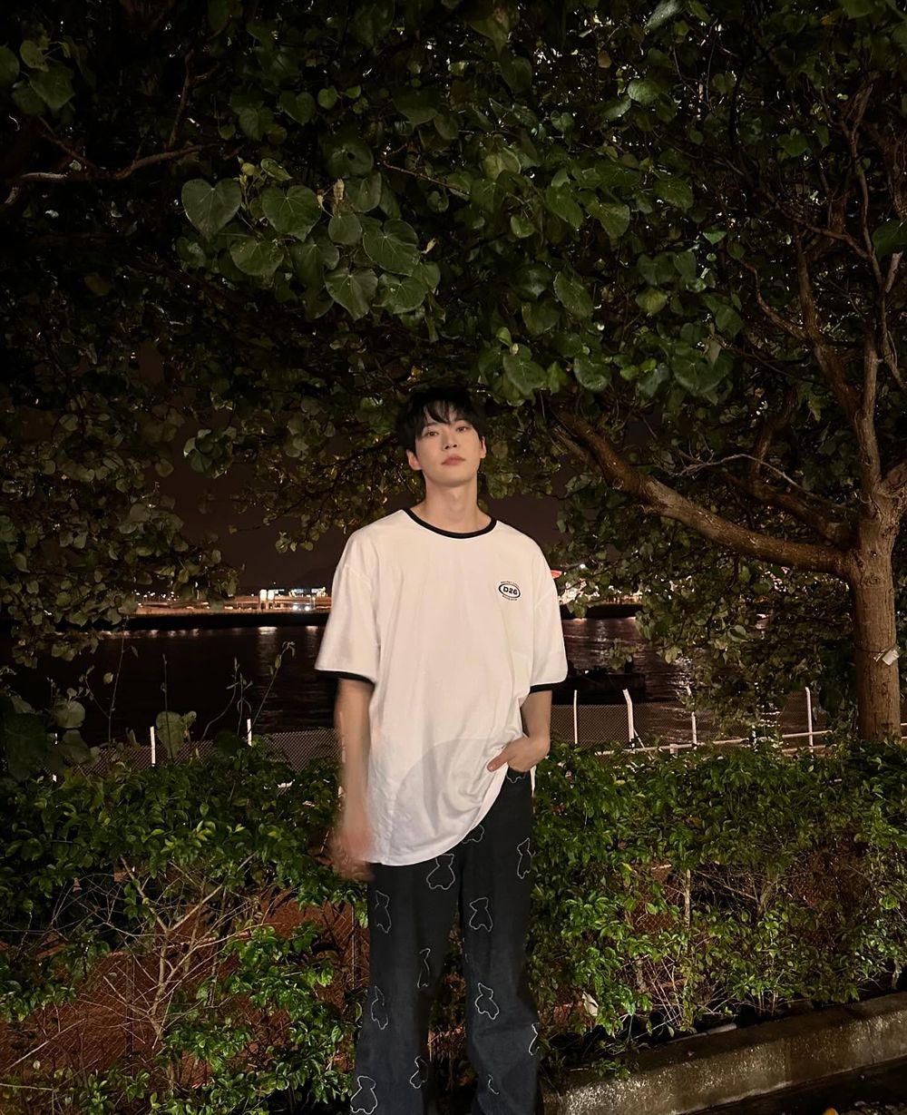 2026必聽10首愛豆獻唱OST！SKZ HAN《柔美的細胞小將3》唱出粉紅泡泡，SVT DINO也為《給你夢想》獻聲！-5