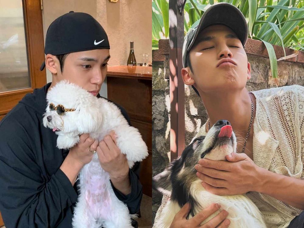 「國際狗狗日」全都想帶回家養？KPOP犬系男友大集合，SEVENTEEN玟奎、Stray Kids昇玟根本犬系天花板！-3