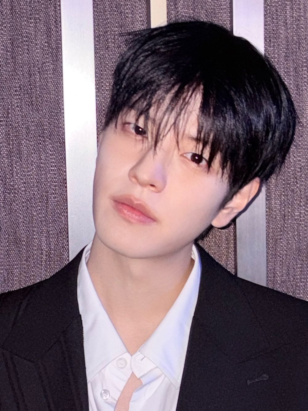 「國際狗狗日」全都想帶回家養？KPOP犬系男友大集合，SEVENTEEN玟奎、Stray Kids昇玟根本犬系天花板！-4