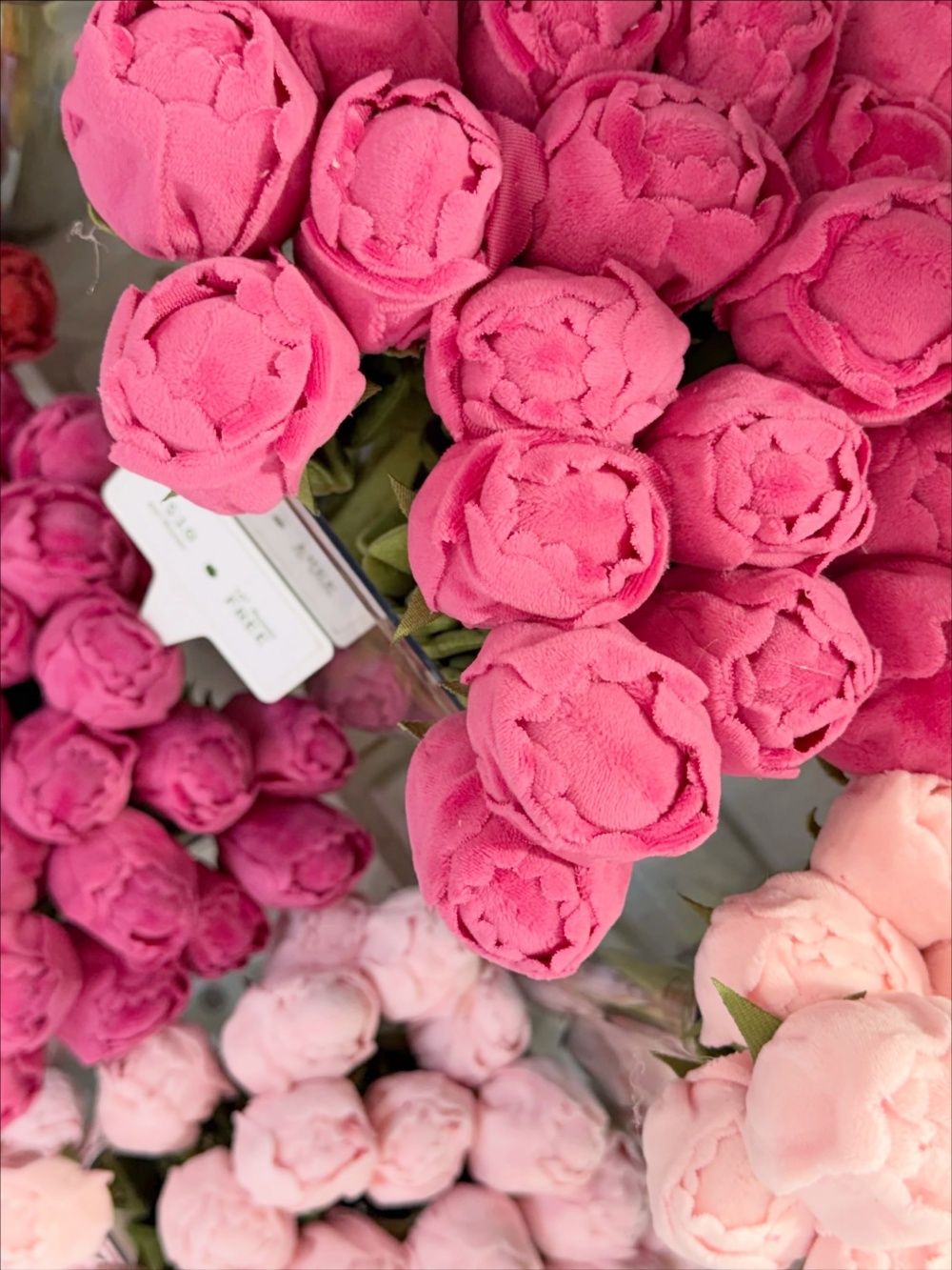 社群爆紅「毛絨花店」Flower Shop來台北了！台北限定「海芋、沙漠玫瑰」7款繽紛花卉必買一次看！-3