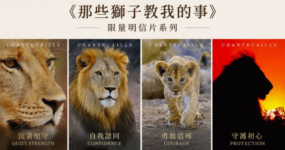 2026慈善限量秋季彩妝！香緹卡「獅影守護」系列登場，秋日氛圍色彩結合野生獅王，眼影、腮紅、唇膏獅子圖樣太精緻！-12