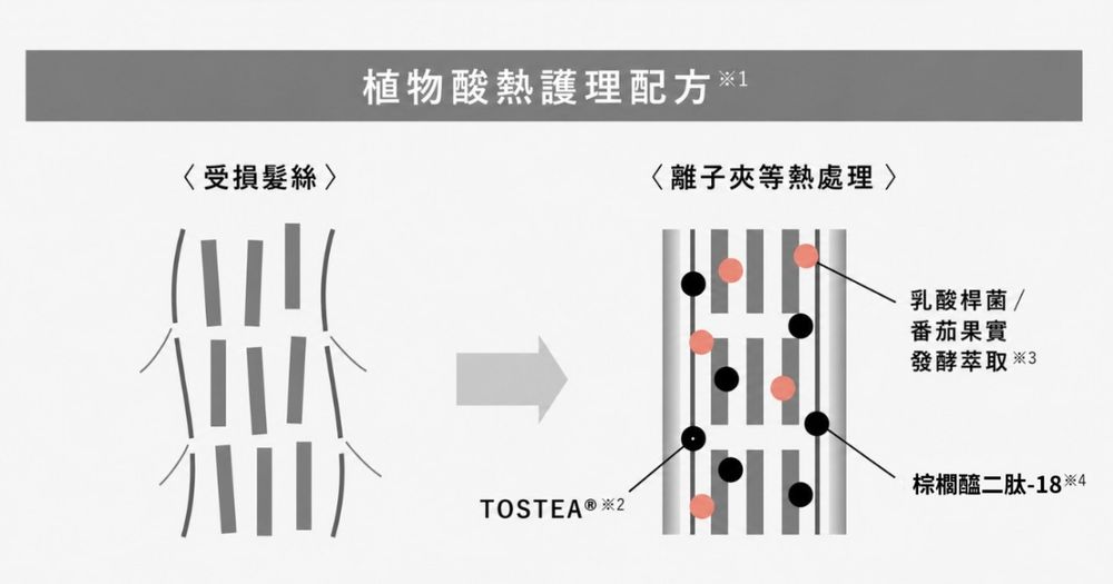 BOTANIST沙龍級護髮概念帶進日常！獨家「次世代酸熱護理」居家吹整也能同步護髮，護髮乳＋髮油修護更有感！-4