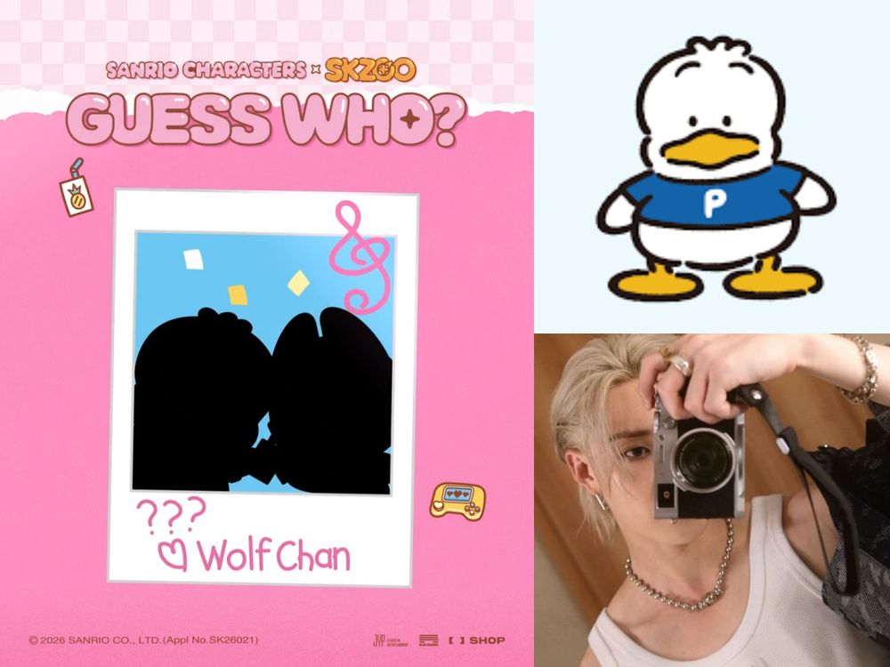Stray Kids SKZOO跟三麗鷗聯名了！「大耳狗×鉉辰小貂、Felix小雞×美樂蒂」預測組合搶先看！-3