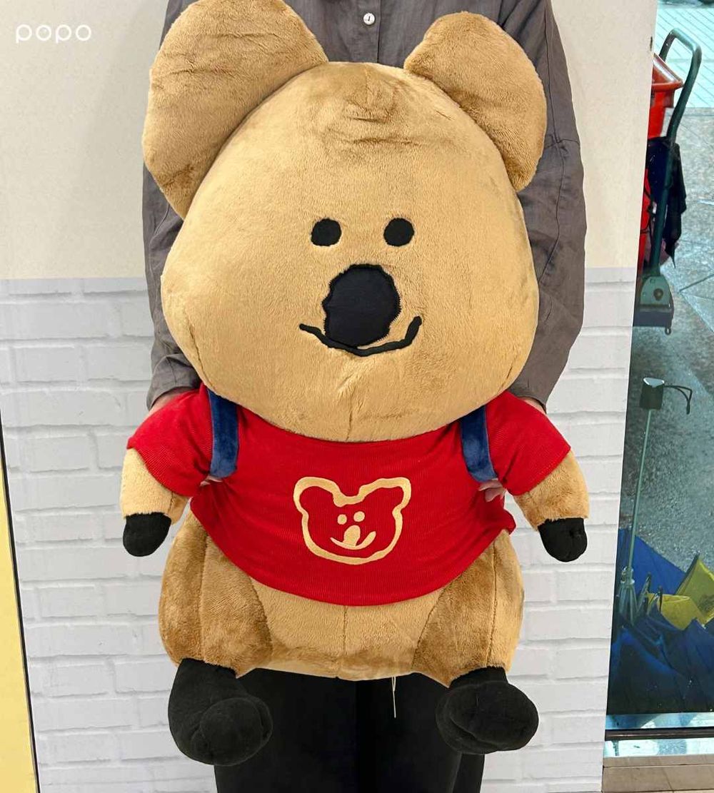 DINOTAENG矮袋鼠在7-11！超可愛「QUOKKA絨毛面紙套、BOBO馬克杯、飲料杯套」這天開賣！-6