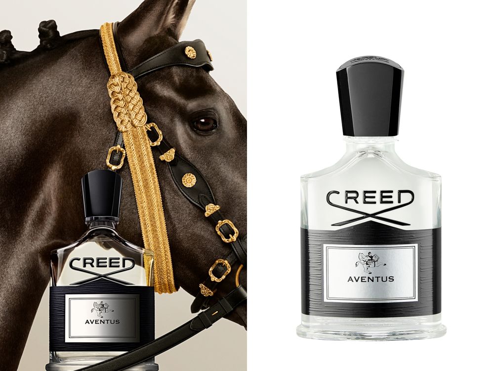 鄭在玹同款香終於來了！CREED官宣亞太區品牌好友，阿文圖斯魅力再掀熱議、西珍妮準備暴動！-2