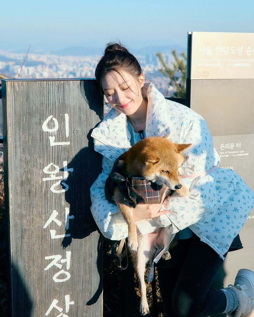 秀彬、舒華都是柴犬奴！超萌柴柴日常公開，颱風天陪散步是基本，養阿柴前必知5大照顧重點！-2