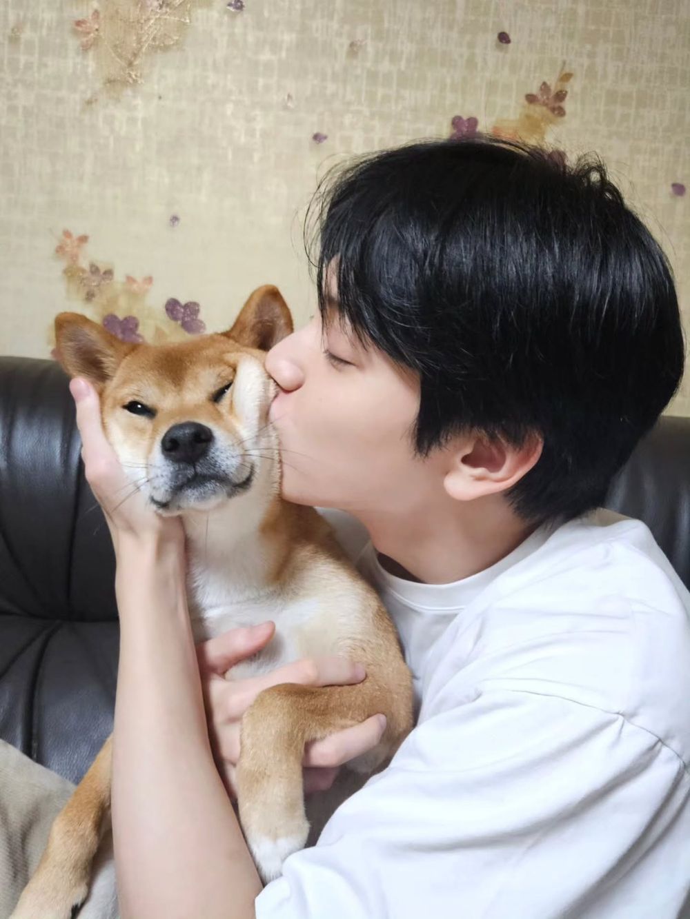 秀彬、舒華都是柴犬奴！超萌柴柴日常公開，颱風天陪散步是基本，養阿柴前必知5大照顧重點！-5