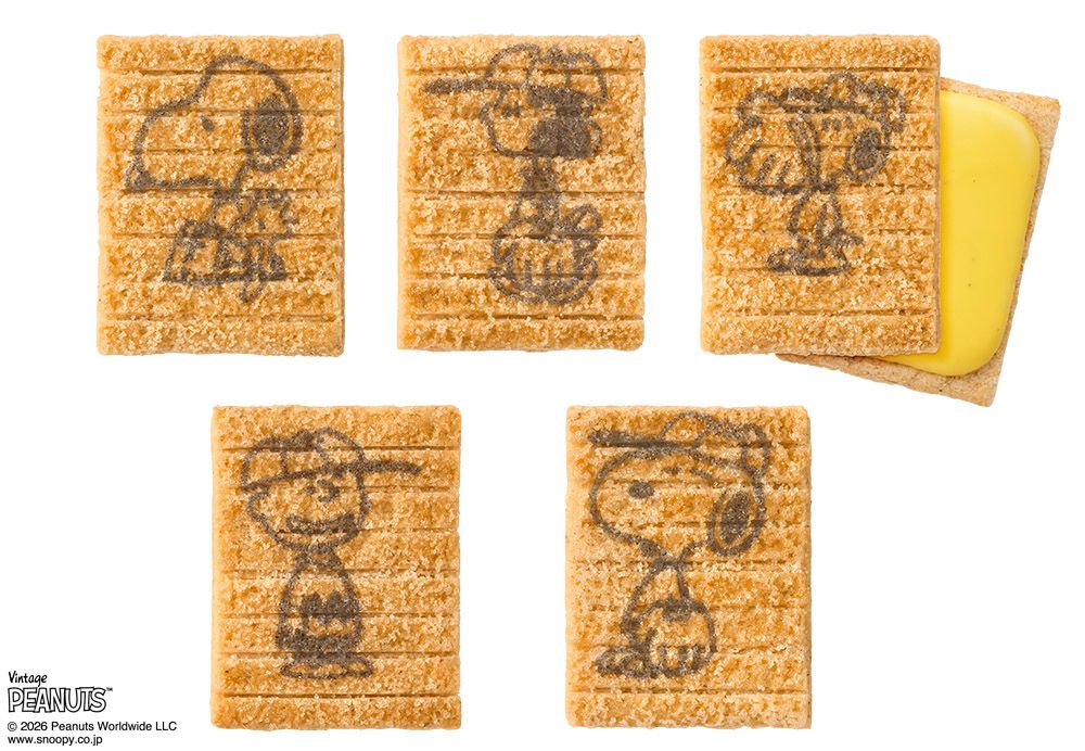 Sugar Butter Tree開賣史努比聯名禮盒！秋季限定「焦糖地瓜夾心餅」+超可愛「棒球史努比」包裝太欠買！-18