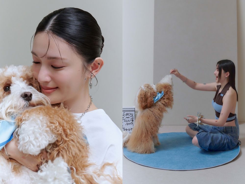 vacanza攜手韓國藝術家Haydonna打造毛孩療癒時光！寵物也能戴的配件也太可愛！-7