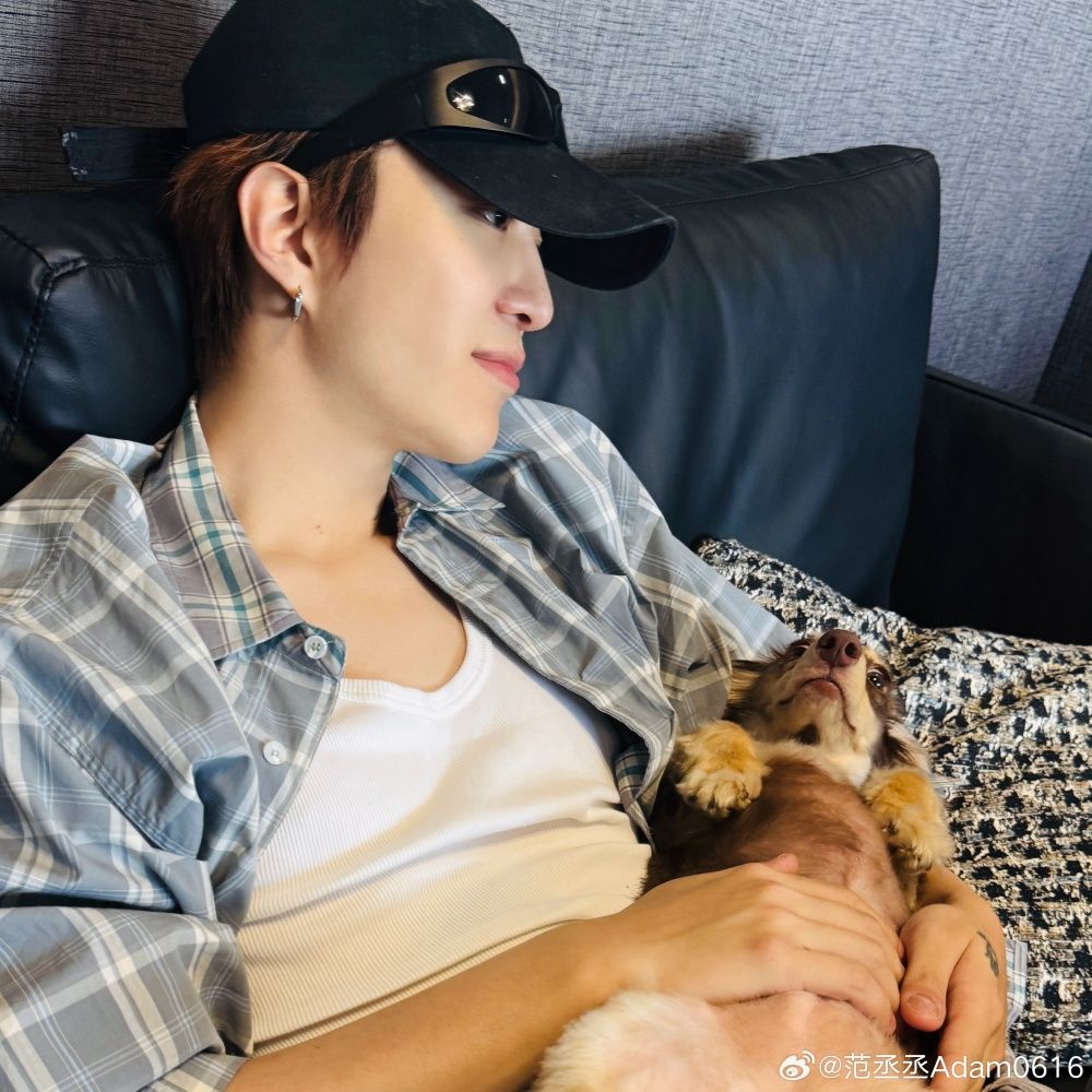 孫千撞臉愛犬、趙露思把毛孩變品牌主角！aespa寧寧也被小短腿收服，臘腸狗照顧6個重點一次看！-7