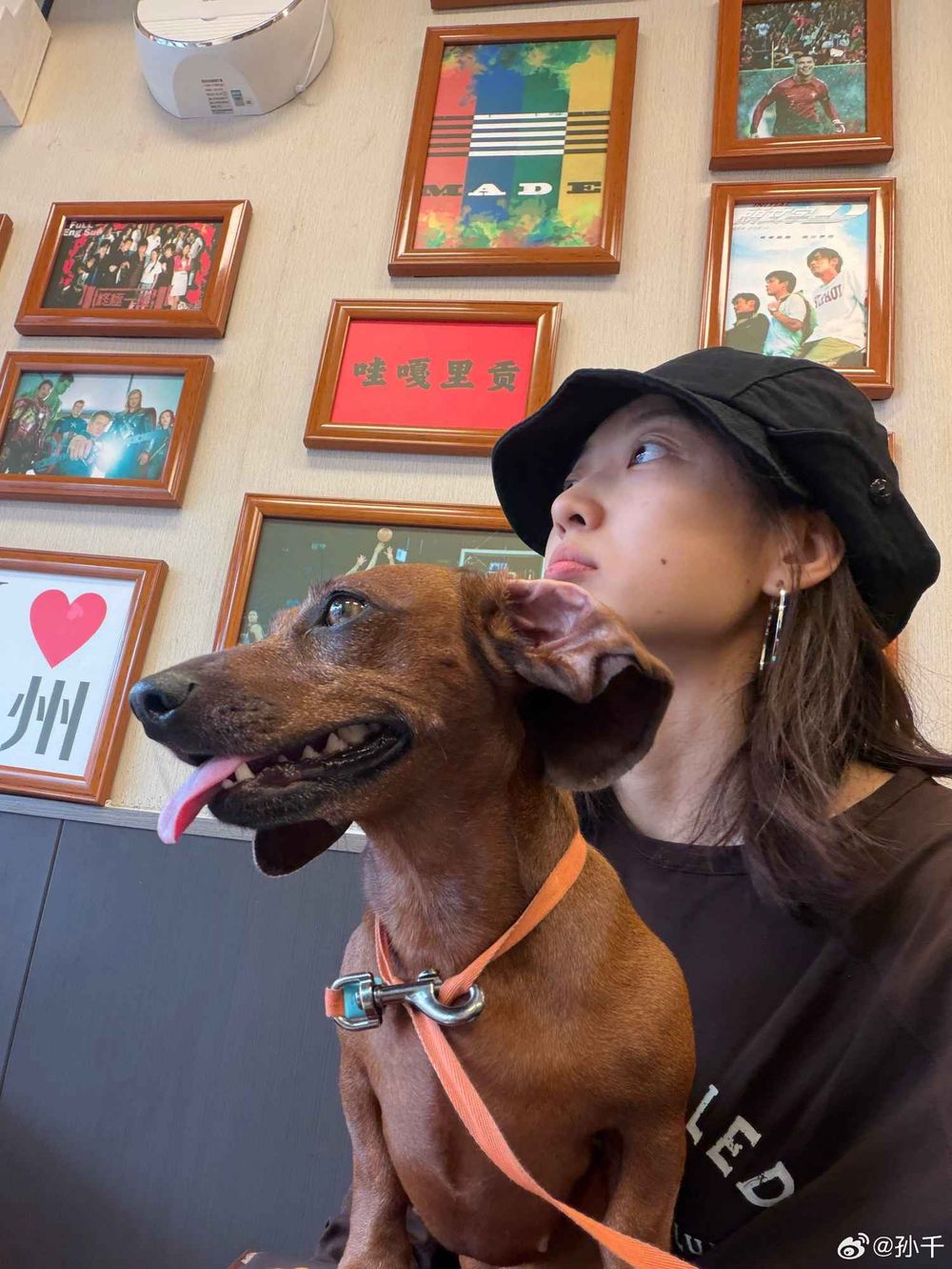 孫千撞臉愛犬、趙露思把毛孩變品牌主角！aespa寧寧也被小短腿收服，臘腸狗照顧6個重點一次看！-11