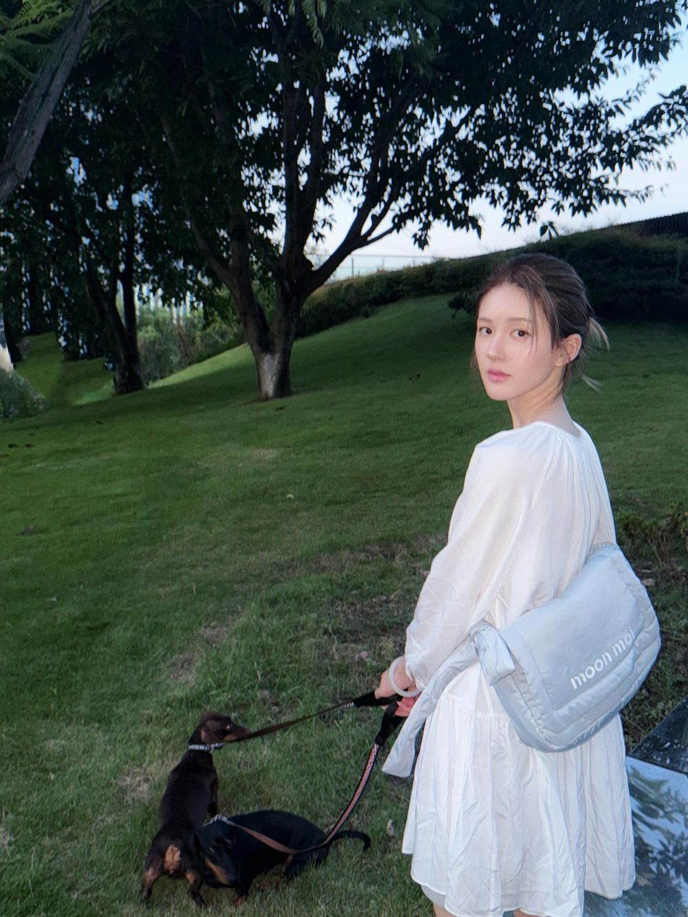孫千撞臉愛犬、趙露思把毛孩變品牌主角！aespa寧寧也被小短腿收服，臘腸狗照顧6個重點一次看！-15