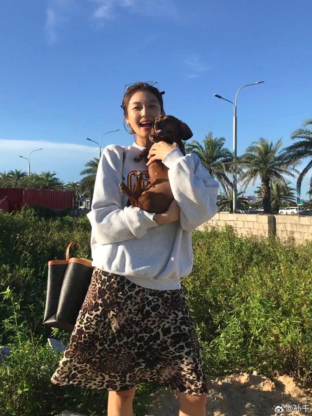 孫千撞臉愛犬、趙露思把毛孩變品牌主角！aespa寧寧也被小短腿收服，臘腸狗照顧6個重點一次看！-16