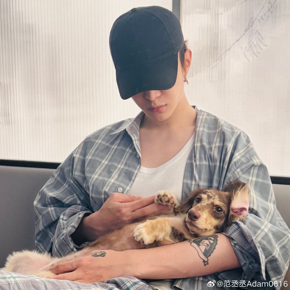 孫千撞臉愛犬、趙露思把毛孩變品牌主角！aespa寧寧也被小短腿收服，臘腸狗照顧6個重點一次看！-18