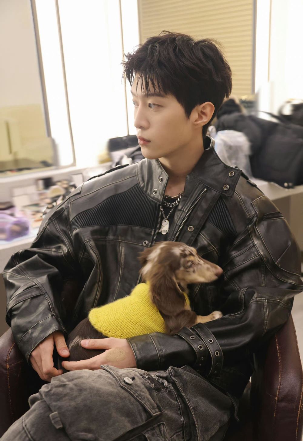 孫千撞臉愛犬、趙露思把毛孩變品牌主角！aespa寧寧也被小短腿收服，臘腸狗照顧6個重點一次看！-24