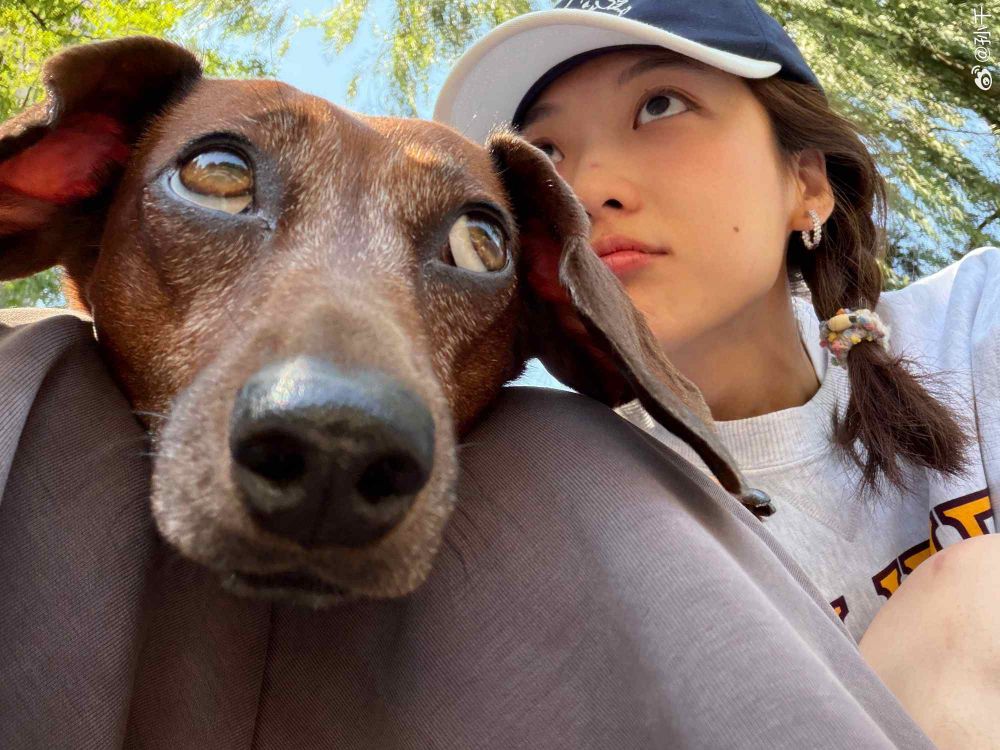 孫千撞臉愛犬、趙露思把毛孩變品牌主角！aespa寧寧也被小短腿收服，臘腸狗照顧6個重點一次看！-25
