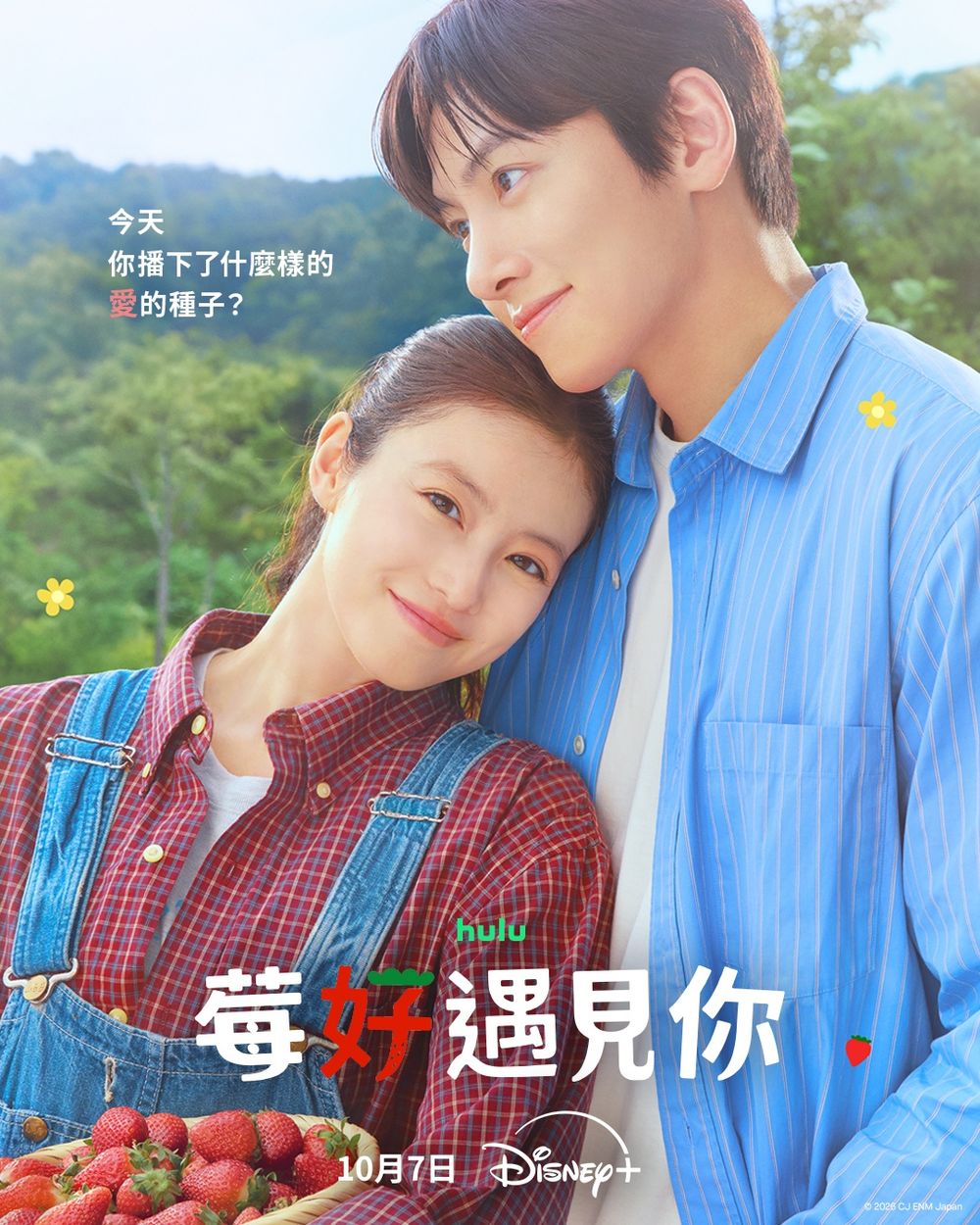 2026年10月Disney+必看片單！《戀愛博士》金所泫化身直球女狂追學長，《莓好遇見你》池昌旭回歸浪漫喜劇！-10