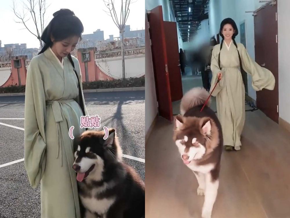 《嫁金釵》最狠反派「代高政」私下竟是狗奴！愛犬二寶爆炸可愛、人氣快超越爸爸！就連田曦薇都淪陷！-5