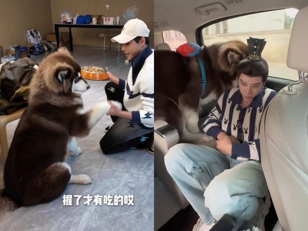 《嫁金釵》最狠反派「代高政」私下竟是狗奴！愛犬二寶爆炸可愛、人氣快超越爸爸！就連田曦薇都淪陷！-10