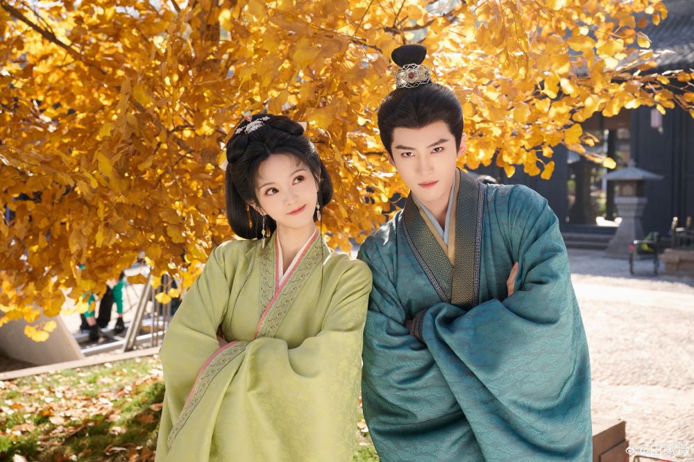 新夫婿來了！《嫁金釵》世子閆桉的8個人生故事，會拉二胡、談鋼琴的音樂才子，曾動過腦部手術，復出後拿下人生角色！-5