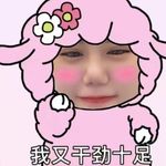 POPO