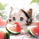 POPO