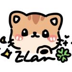 POPO