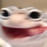 POPO