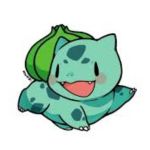 POPO