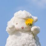 POPO