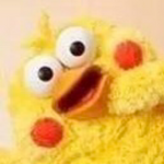 POPO