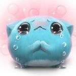POPO