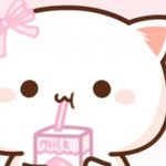 POPO