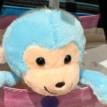 POPO