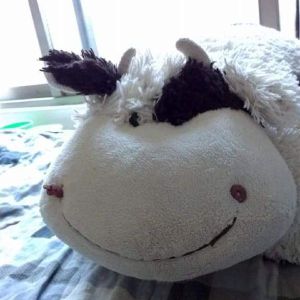 POPO-Avatar
