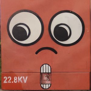POPO-Avatar