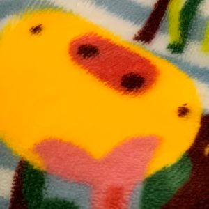 POPO-Avatar