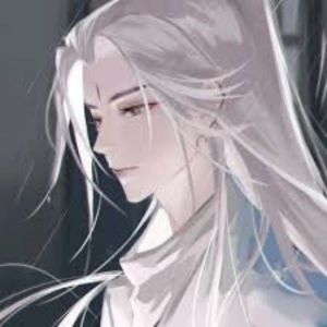 POPO-Avatar