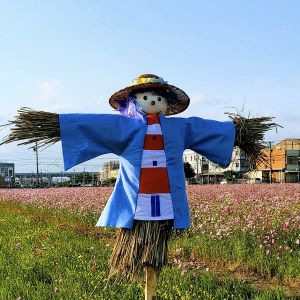 POPO-Avatar