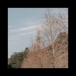 POPO-Avatar