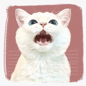 POPO-Avatar