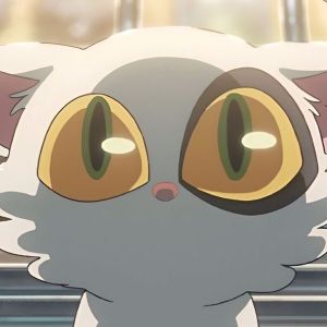 POPO-Avatar