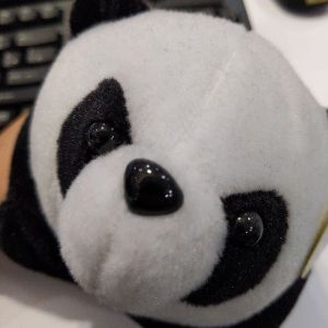 POPO-Avatar