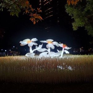 POPO-Avatar