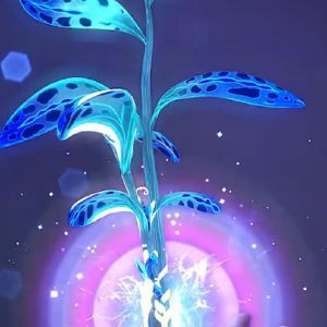 POPO-Avatar