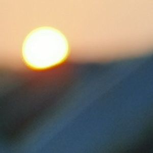 POPO-Avatar
