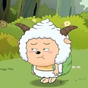 POPO-Avatar