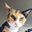 baibaicat