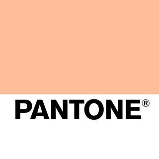Pantone公布2024年度代表色！Peach Fuzz絨毛蜜桃色「溫暖和平」寓意超療癒！-2