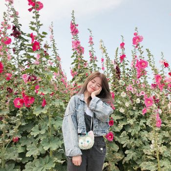 臺南｜學甲蜀葵花季🌸｜追花女子